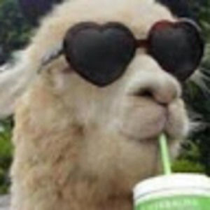 Meet your Posher, Violet